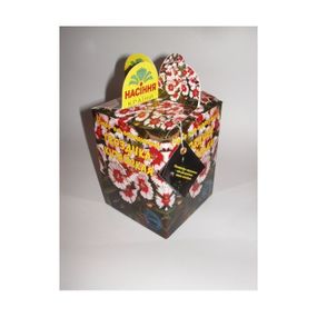 Набір для вирощування Гвоздика китайська (Насіння країни)