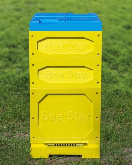 Вулик ППУ “BeeStar” (1 корпус Дадан 300 мм + 2 магазини на 8 рамок) – кольоровий | Зображення 5