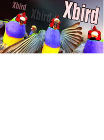 Xbird Steam Key GLOBAL
