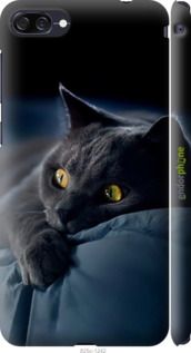 Чохол на Asus ZenFone 4 Max ZC520KL Димчастий кіт "825m-1242-2448"