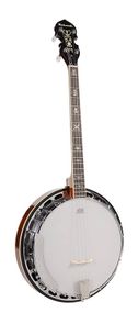 Банджо Richwood RMB-904