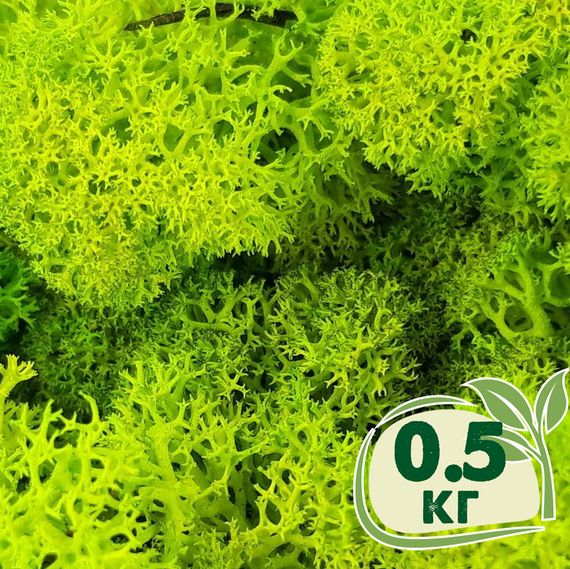 Стабілізований мох ягель Зелений весняний 0,5 кг