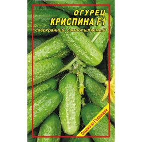 Насіння огірка Кріспіна F1 5 шт.