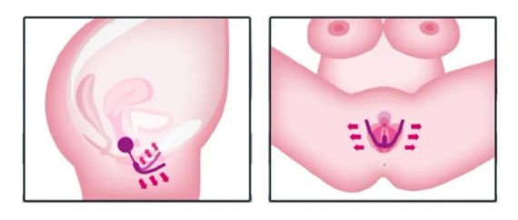 Вагинальный расширитель с шариком Sex Aura | Зображення 7