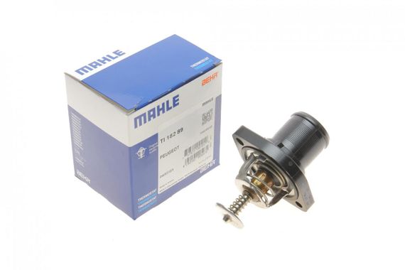 Термостат Fiat Scudo Peugeot Expert 2.0 16V 00- TI 182 89