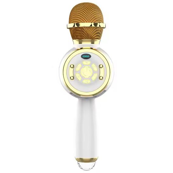 Караоке Микрофон-колонка DS810 Gold | Зображення 1