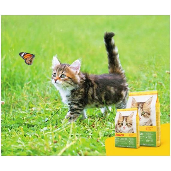 Сухий корм для кошенят Josera Kitten grainfree 10 кг (4032254754992) | Зображення 2