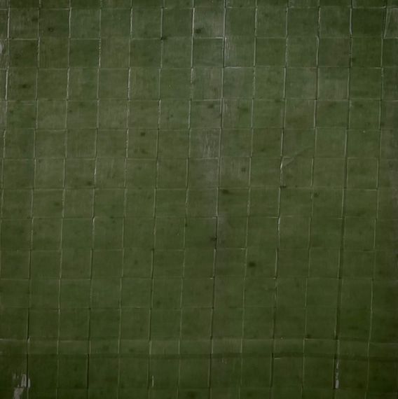 Тент універсальний"AgroStar" 100(8*10)зел