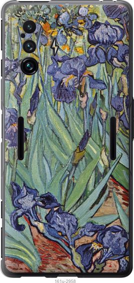 Чехол на Xiaomi Poco F4 GT Винсент Ван Гог. Ирисы "161u-2958-17620"
