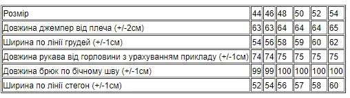 Костюм жіночий Носи своє 44 Чорний (p-10422-113353) | Зображення 3