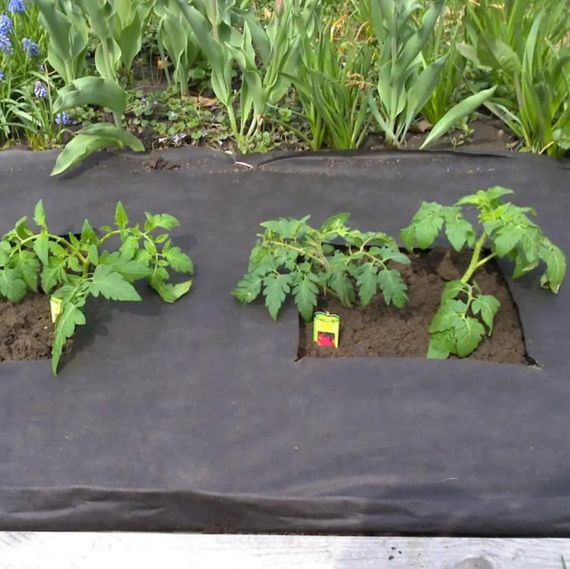 Агроволокно Shadow 50 г/м² 1,07 x 5 м АВБП000245 | Зображення 3