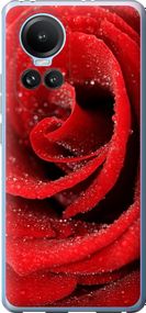 Чехол на Oppo Reno10 Красная роза "529u-3107-17620"
