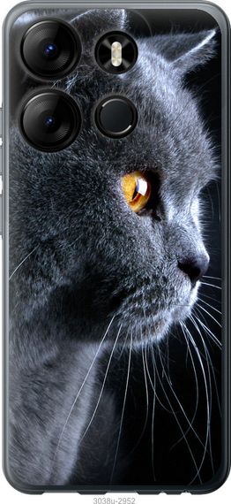 Чехол на Tecno Spark Go 2023 BF7 Красивый кот "3038u-2952-17620"
