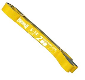 Еспандер-петля (гумка для фітнесу і кроссфіту) PowerPlay 4116 Double Colors Жовто/Сіра (5-14 кг) (PP_4116_Yellow_(5-14 kg))