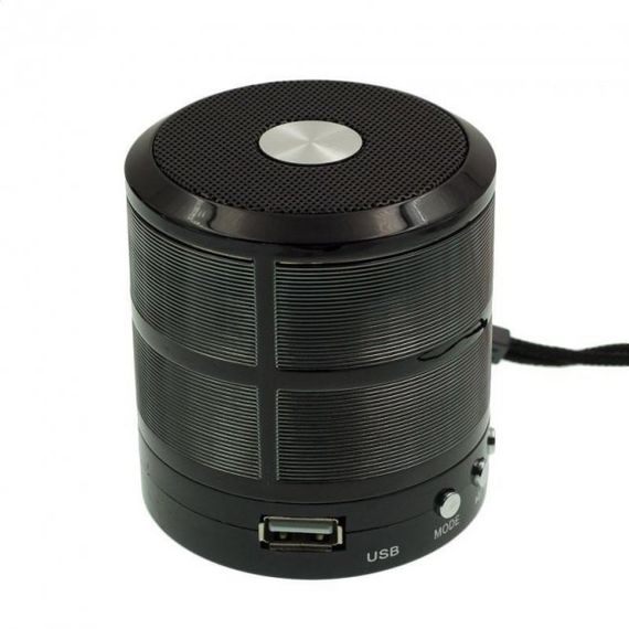 Портативна колонка XPRO WS 887 акумуляторна з USB, SD, Bluetooth, FM чорний (WS 887 bluetooth) | Зображення 2