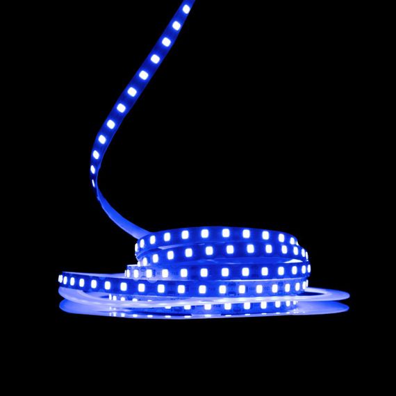 Світлодіодна LED стрічка PROLUM 12V IP20 2835\120 S-TYPE Series S Синій | Зображення 1