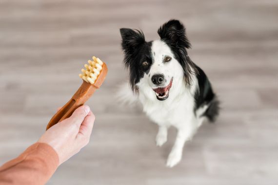 Ласощі для чищення зубів у собак великих порід Whimzees Toothbrush L, 6 шт | Зображення 5