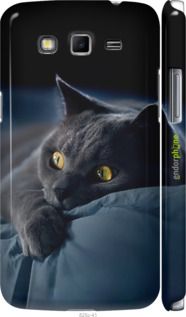 Чохол на Samsung Galaxy Grand 2 G7102 Димчастий кіт "825m-41-2448"