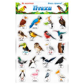 Набір магнітів "Птахи" 1311ATS