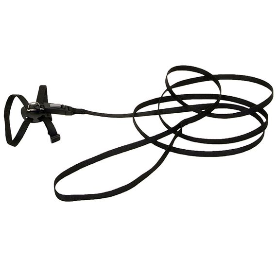 Coastal Li`l Pals шлейка з повідцем для котів, чорний