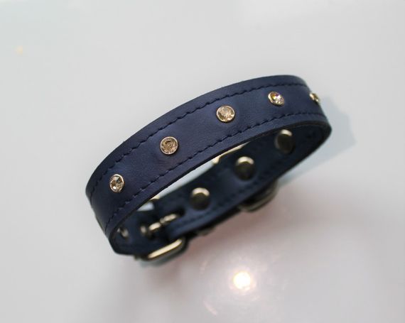 Кожаный ошейник со стразами "Lockdog" синий | Зображення 2