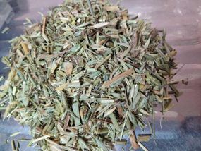 Овес (трава молочної стиглості), 500г.