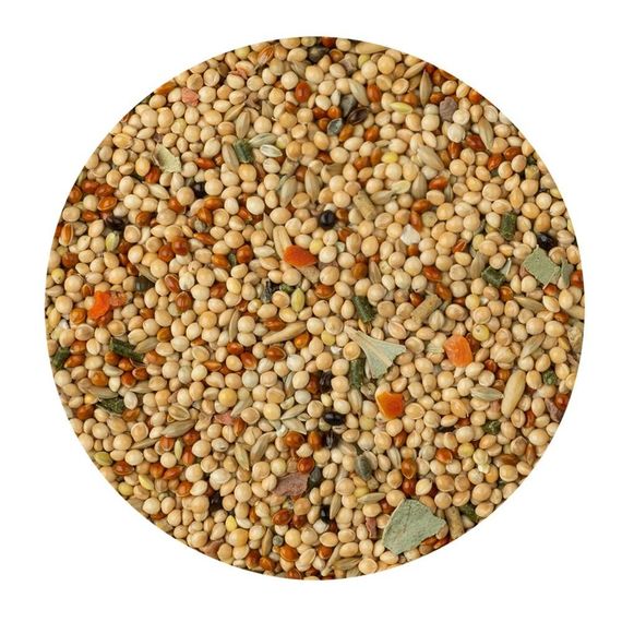 Корм д/попуг  Меню KIDS  500г | Зображення 1