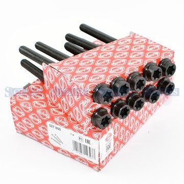 Комплект болтов ГБЦ Ford Connect 1.8 TDCi/TDDi/DI 02-, Elring, 027.850,