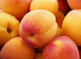 Абрикос Цар Бібер (середній)