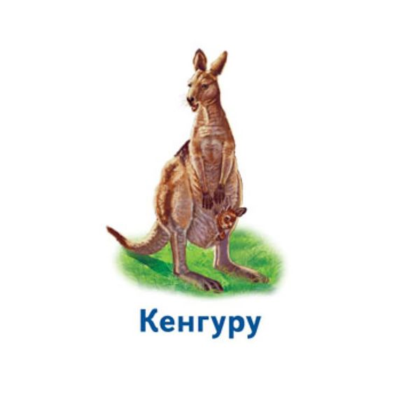 Настільна гра Парочки: Світ тварин 1392003, 6 ігор | Зображення 3