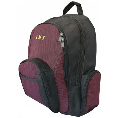 Рюкзак для ноутбука LNT 15.6&quot; BN115 (LNT-BN115G-RD) | Зображення 3