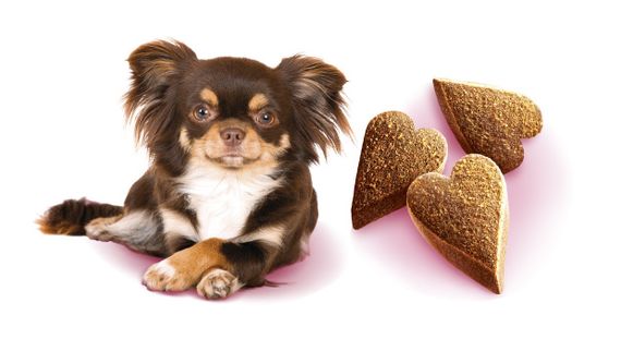 Ласощі для собак малих порід для зниження тривожності Brit Care Mini Treats Mood, 50 гр | Зображення 1