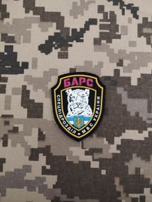 Шеврон Барс / кокарда