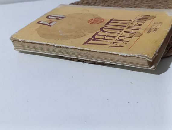 Блик О. П., Кулик Б. М. Українська мова: Підручник для 6-7 класів 1991 | Зображення 2