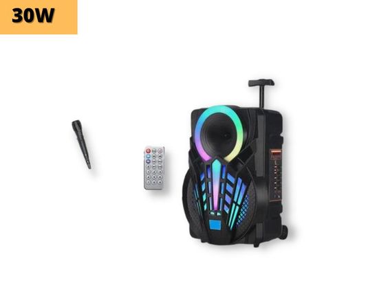Портативная колонка XPRO GZ-W1312 чемодан  30Вт, USB, SD, FM радио, Bluetooth, 1 микрофон, ДУ (MER-15680) | Зображення 1