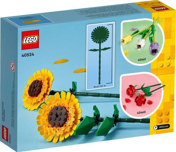 Конструктор LEGO Iconic Соняшники (40524) | Зображення 1