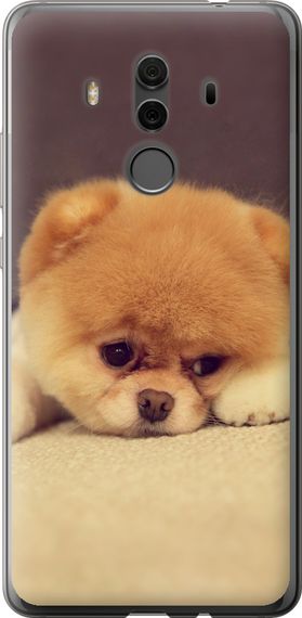 Чехол на Huawei Mate 10 Pro Boo 2 "890u-1138-17620"