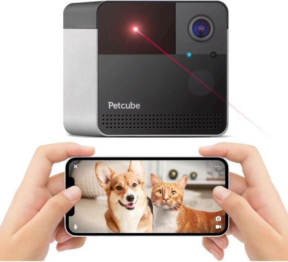 Petcube Компактна HD-камера  Play 2 (PP20US) | Зображення 3