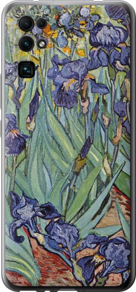 Чехол на Huawei Honor 30 Винсент Ван Гог. Ирисы "161u-1921-17620"