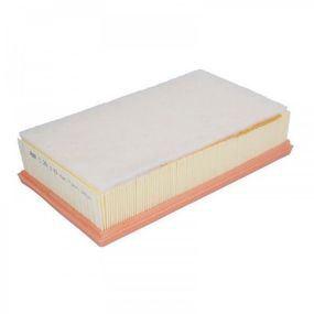 Воздушный фильтр для автомобиля Mann C29110