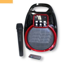 Портативна колонка XPRO RX 820BT валіза 30Вт, USB, SD, FM радіо, Bluetooth, 1 мікрофон, ДУ чорна (RX820BT_1513)