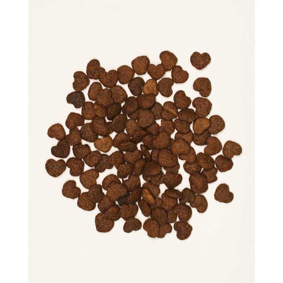 Хрусткі ласощі Savory для здорового росту кошенят, індичка та журавлина | Зображення 1