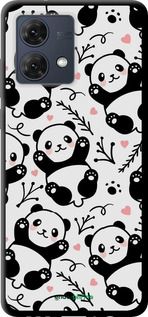 Чохол на Motorola Moto G84 Панди "4318b-3344-2448"