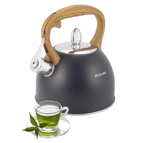Чайник 2,5 л з нержавіючої сталі зі свистком і ручкою soft touch KAMILLE 1096