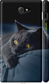 Чохол на Sony Xperia M2 dual D2302 Димчастий кіт "825m-61-2448"