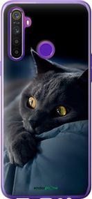 Чохол на Realme 6i Димчастий кіт "825t-2059-2448"