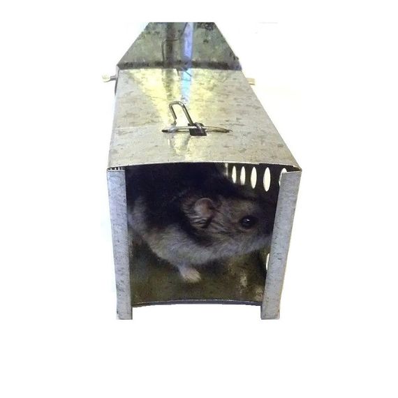 Мишоловка живоловка металева | Зображення 1