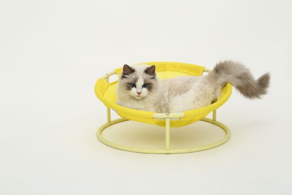 Складаний лежак для домашніх тварин MISOKO Pet bed round, 45x45x22 cm, yellow | Зображення 3