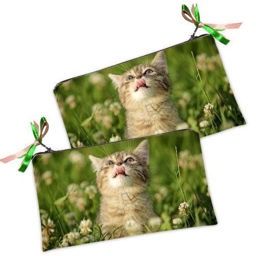 Косметичка жіноча Котенок облизывается 20х12 см (K_OS022)