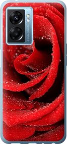 Чехол на Oppo A77 5G Красная роза "529u-1377-17620"